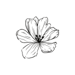 ללא שם (300 × 300 ממ) (300 × 300 פיקסל) (1)